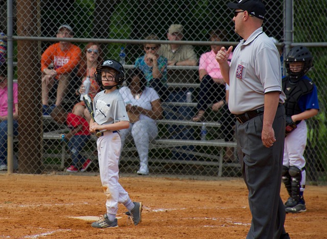 动员智慧的 动员智慧的